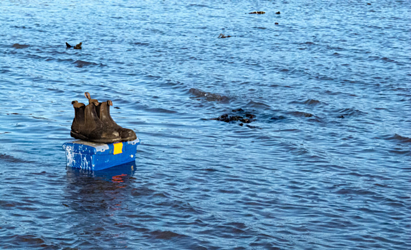 Caught by the tide - Pot Luck