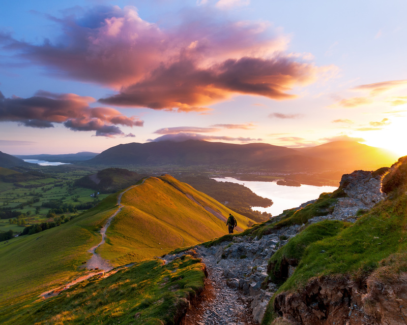 cat bells