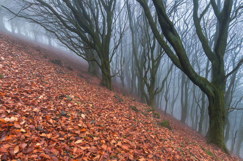 Vertigo, Castleton, Derbyshire, England. - Awarded and Published