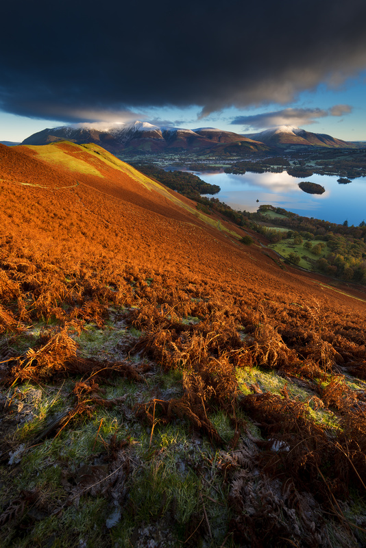 Skelgill Bank first light