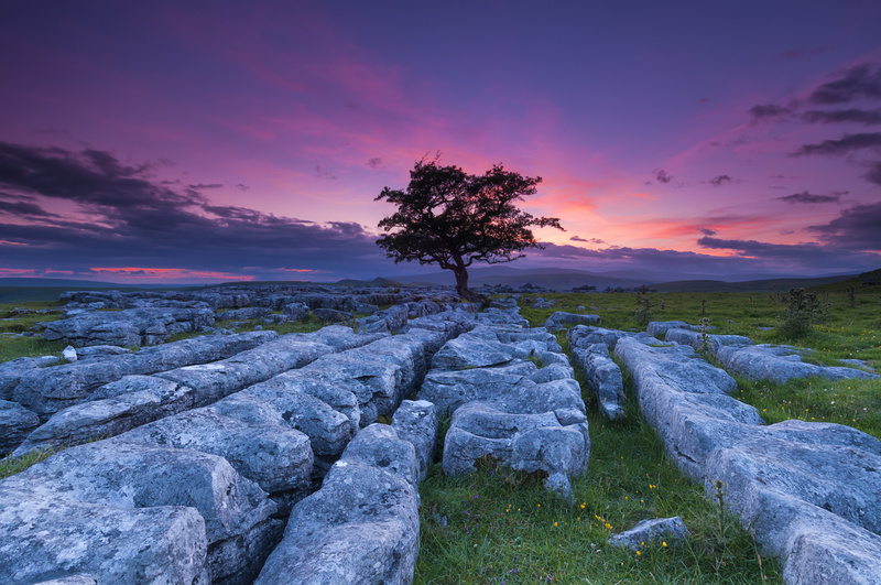 Winskill Stones - Awarded and Published