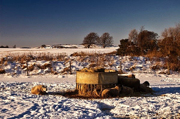  - Landscapes