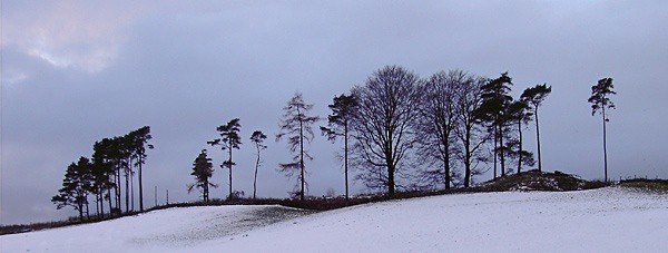  - Landscapes