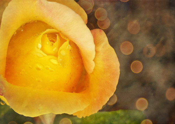  - Floral Art...