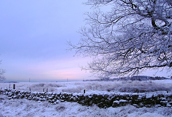  - Landscapes