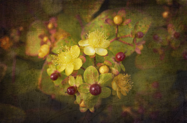  - Floral Art...