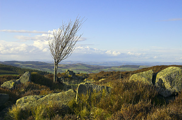  - Landscapes