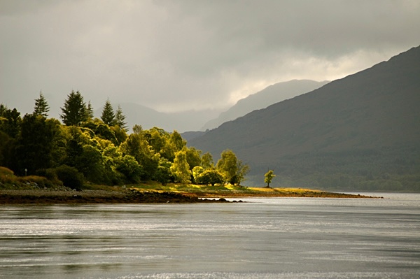  - Waterscapes
