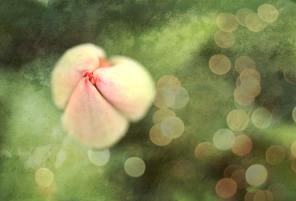  - Floral Art...