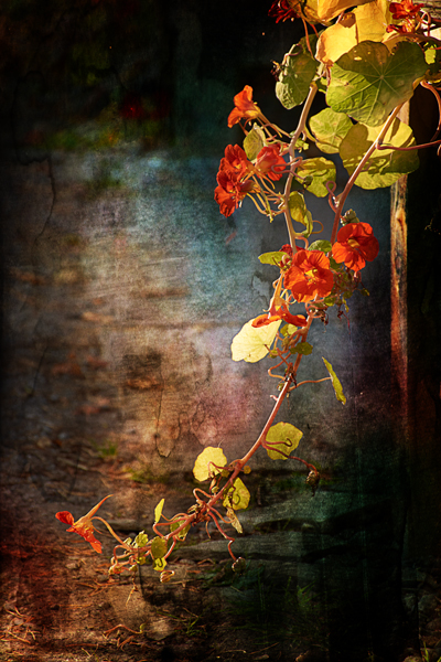  - Floral Art...