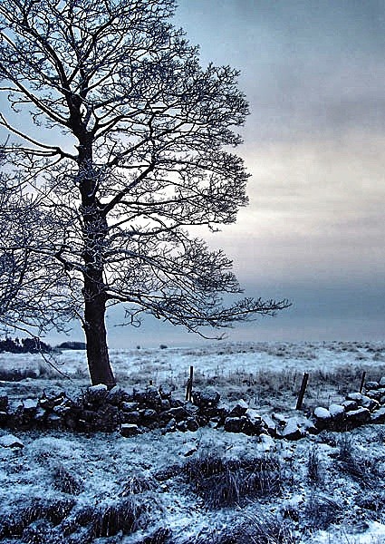  - Landscapes