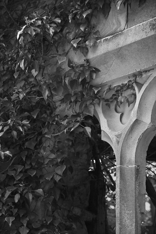  - Black&White Versions