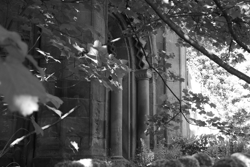  - Black&White Versions