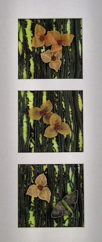 Rainforest Flowers - Plants & Flowers