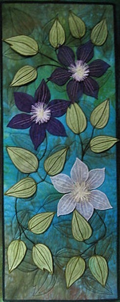 Clematis - Plants & Flowers