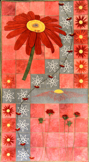Red Daisies - Plants & Flowers