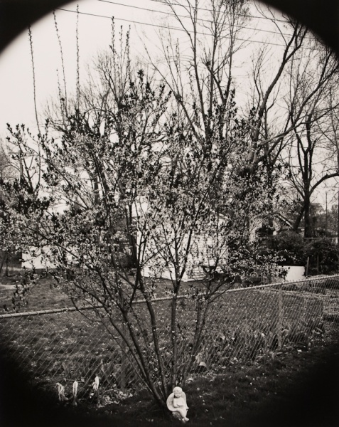 My Back Yard, Missouri, 1994 - The Garden Series