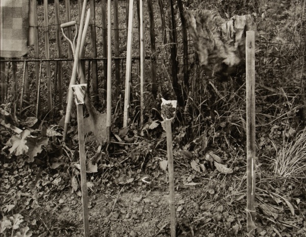 George's Garden, New York, #1, 1983 - The Garden Series