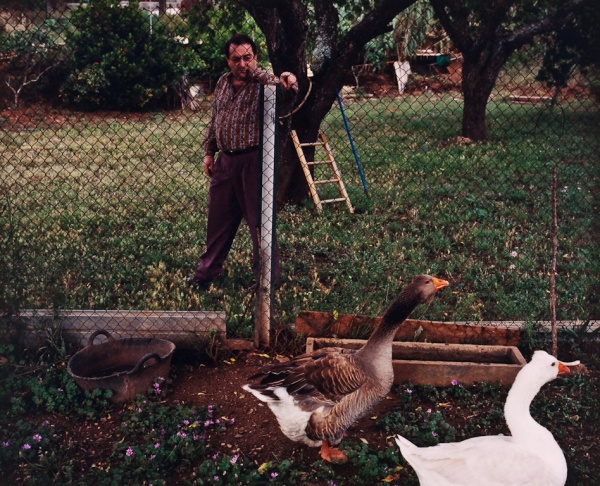 Man with Geese, Spain, 1998 - Britain and Spain