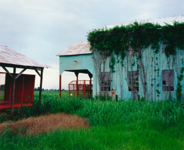 Green Gin, Mississippi, 1999 - Take Time to Appreciate