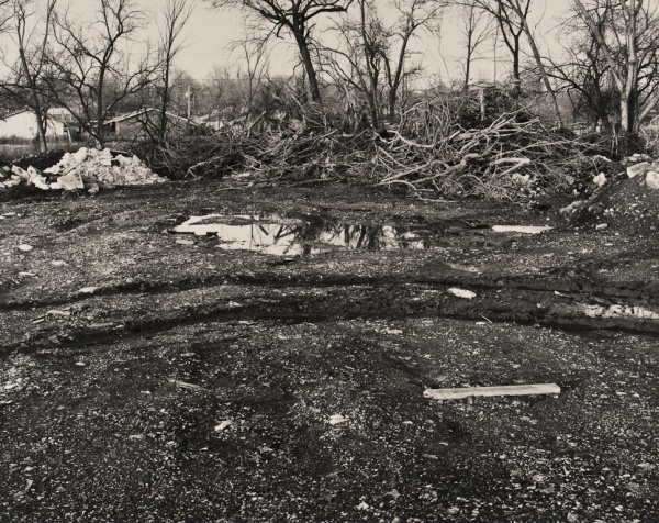 The Woods Behind the Houses, Missouri, #6, 1992 - Landscapes