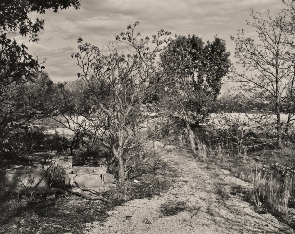 The Chats, Missouri, #12, 1992 - Landscapes