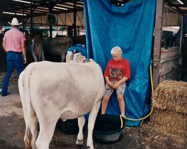 Boy with Cow, Missouri, 1994 - Missouri Portraits