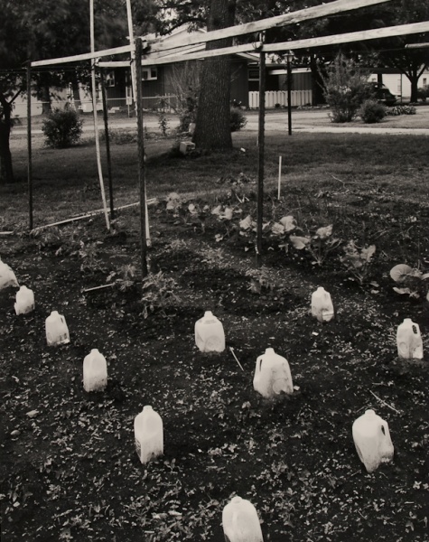 Vegetable Garden, Missouri, 1994 - The Garden Series