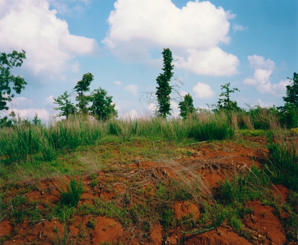 Near Holly Springs, Mississippi, 1996 - Take Time to Appreciate