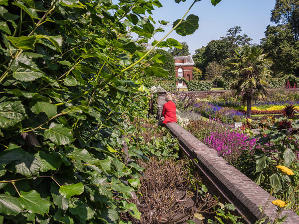 Woman with Red Jacket in Garden London 2016 - Hear Victoria Here
