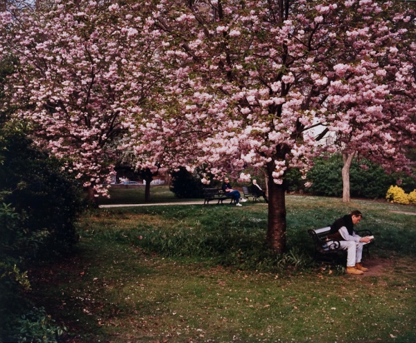 Reading in the Park, London, 1997 - Britain and Spain