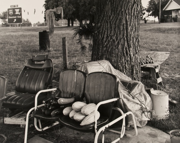 Goodman's Garden, Missouri,1992 - The Garden Series