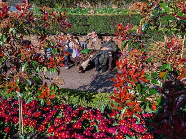 Holland Park #1 London 2016 - Hear Victoria Here