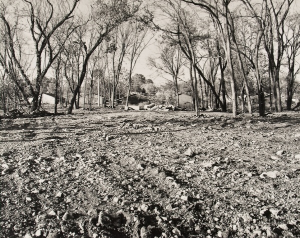The Woods Behind the Houses, Missouri,  #1, 1992 - Landscapes
