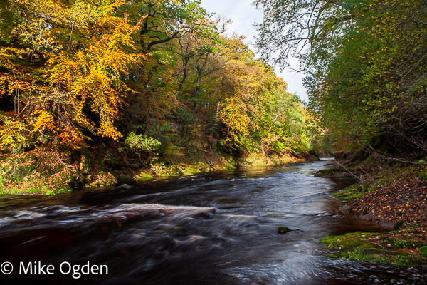 River North Esk at Grannochy, Autumn Colour 3 - Glen Esk