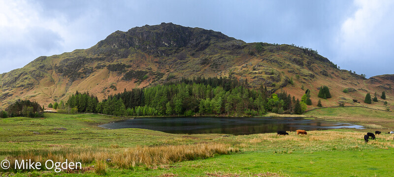 Blea Tarn & Wrynose Fell 1 - Lake District
