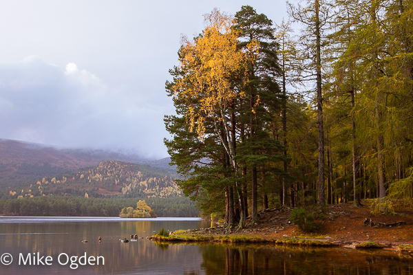 Loch an Eilein in Autumn, 1 - Aviemore