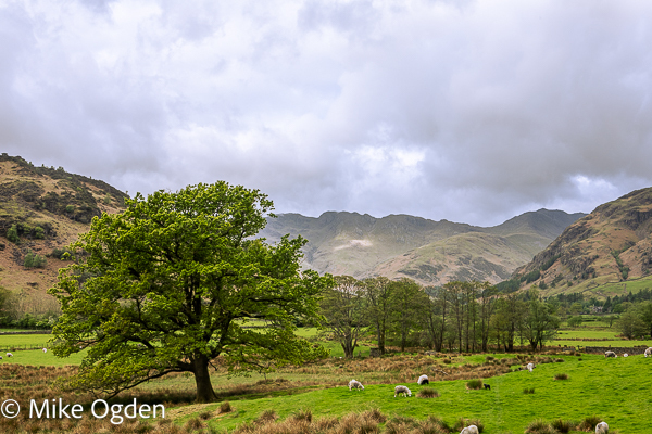 Great Langdales, towards Crinkle Crags - Lake District