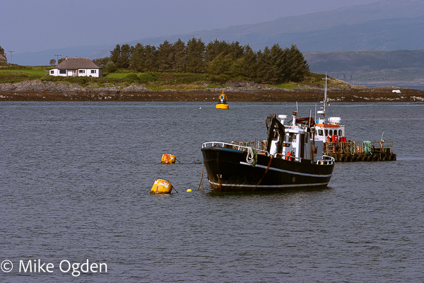 Working boats, Oban - Oban Area
