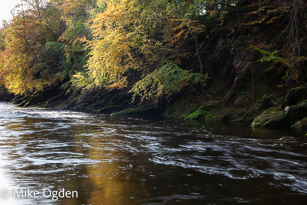 River North Esk at Grannochy, Autumn Colour 12 - Glen Esk