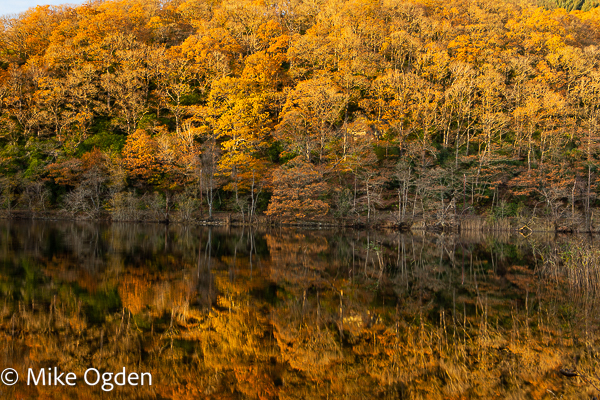 Loch Ard Autumn Refections, 3 - The Trossachs