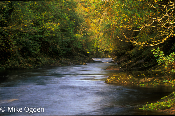 River North Esk at Grannochy, Autumn Colour 5 - Glen Esk