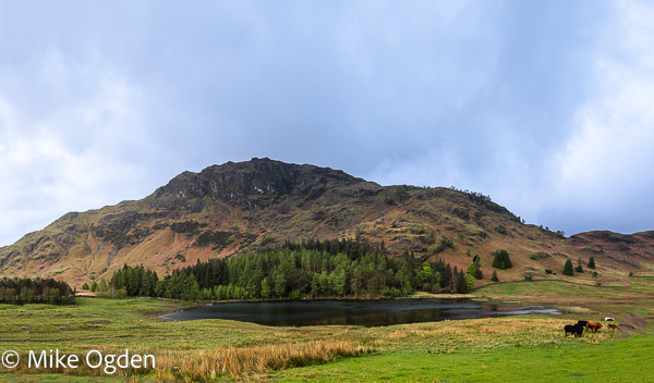 Blea Tarn & Wrynose Fell - Lake District