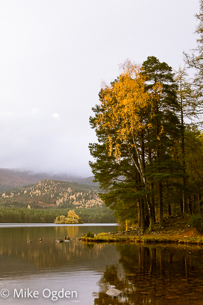Loch an Eilein in Autumn, 2 - Aviemore