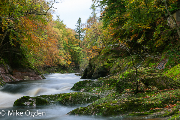 River North Esk at Grannochy, Autumn Colour 9 - Glen Esk