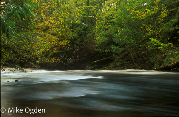 River North Esk at Grannochy, Autumn Colour 14 - Glen Esk