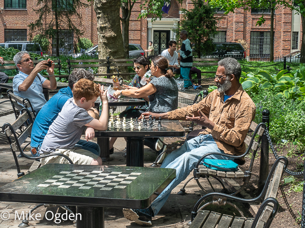 The Chess Players - New York