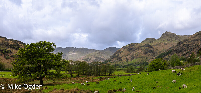 Great Langdales, towards Crinkle Crags - Lake District