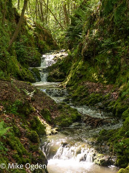 Glaslaw Burn Waterfall, 3 - Stonehaven and Area