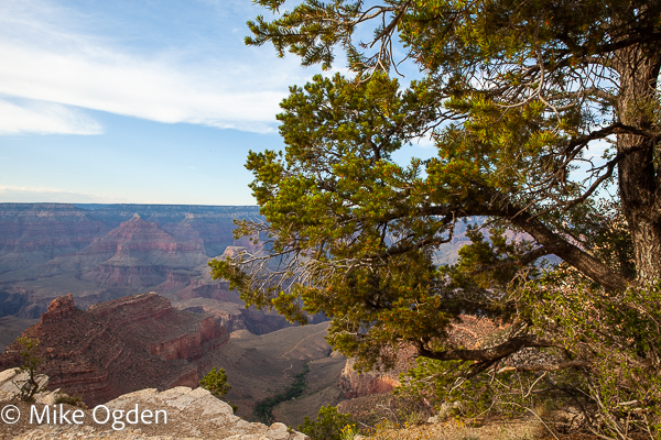 Grand Canyon Rim at Sunset, 6 - Grand Canyon